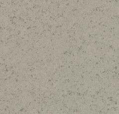 Линолеум Forbo Sarlon Material 19dB 211T4319 light grey canyon фото 1 | FLOORDEALER